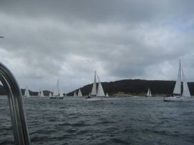 IMG_1176.JPG